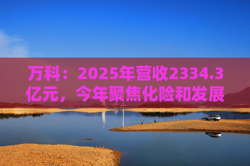 万科：2025年营收2334.3亿元，今年聚焦化险和发展两大主题