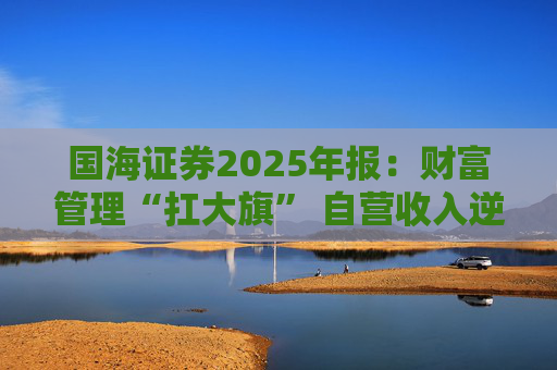 国海证券2025年报:财富管理“扛大旗” 自营收入逆势大降 投行收入占比仅2%