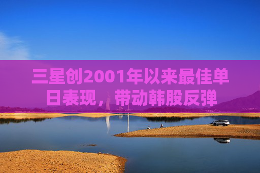 三星创2001年以来最佳单日表现，带动韩股反弹