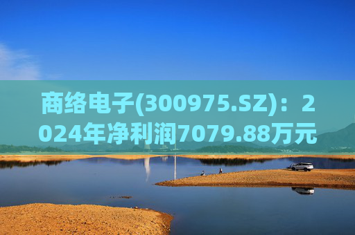商络电子(300975.SZ)：2024年净利润7079.88万元 同比增长108.28%  第1张