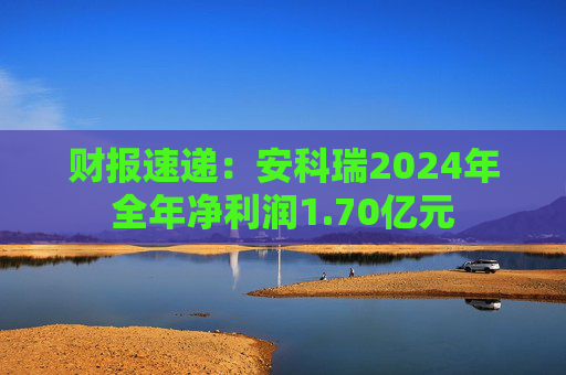 财报速递：安科瑞2024年全年净利润1.70亿元