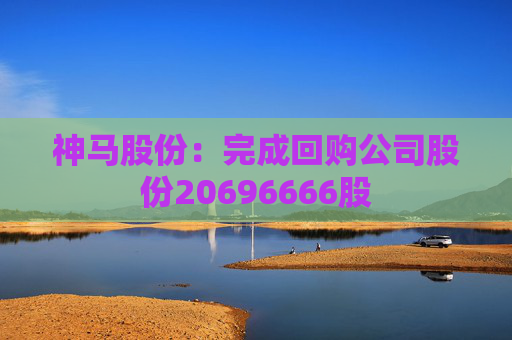 神马股份：完成回购公司股份20696666股