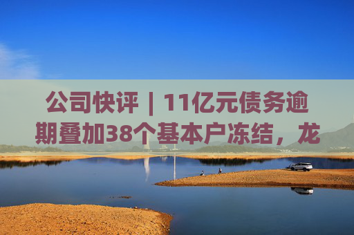 公司快评︱11亿元债务逾期叠加38个基本户冻结，龙元建设的脱困之路在哪里？