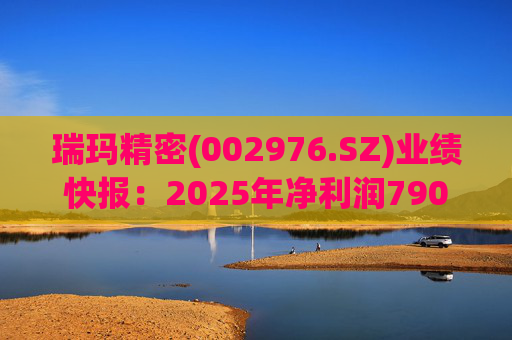 瑞玛精密(002976.SZ)业绩快报：2025年净利润790.08万元
