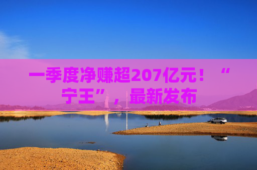 一季度净赚超207亿元！“宁王”，最新发布