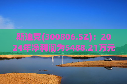 斯迪克(300806.SZ)：2024年净利润为5488.21万元 同比下降2.11%