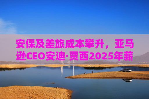 安保及差旅成本攀升，亚马逊CEO安迪·贾西2025年薪酬涨至210万美元