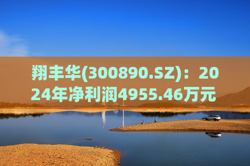 翔丰华(300890.SZ):2024年净利润4955.46万元 同比下降40.23%