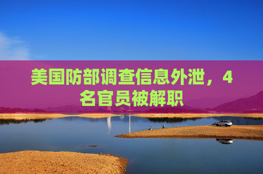 美国防部调查信息外泄，4名官员被解职