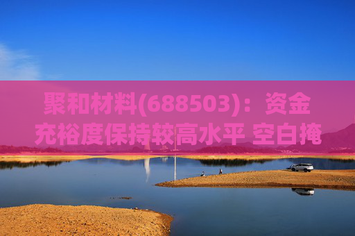 聚和材料(688503)：资金充裕度保持较高水平 空白掩模版收购完成