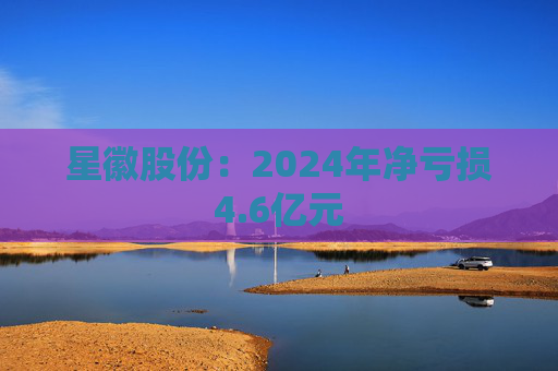 星徽股份：2024年净亏损4.6亿元  第1张