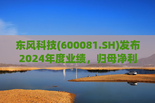 东风科技(600081.SH)发布2024年度业绩,归母净利润9128万元,同比下降37.05% 第1张 东风科技(600081.SH)发布2024年度业绩,归母净利润9128万元,同比下降37.05% 第1张