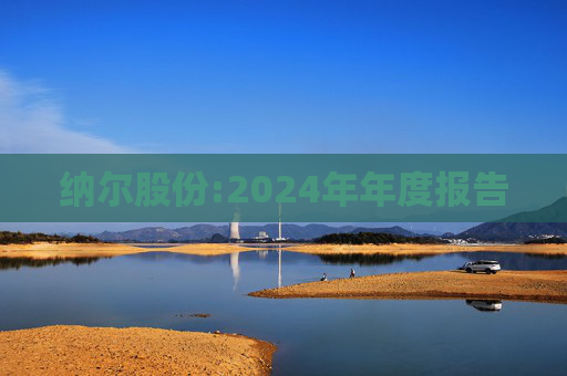 纳尔股份:2024年年度报告