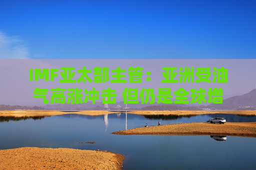 IMF亚太部主管：亚洲受油气高涨冲击 但仍是全球增长引擎