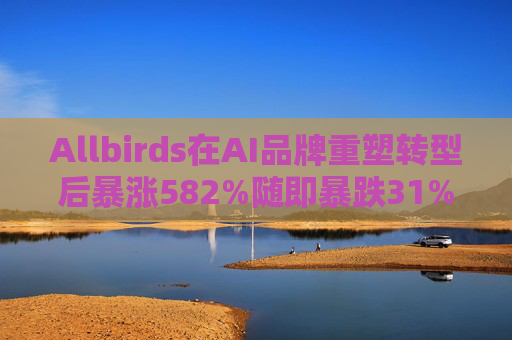 Allbirds在AI品牌重塑转型后暴涨582%随即暴跌31%  第1张