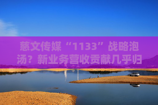慈文传媒“1133”战略泡汤？新业务营收贡献几乎归零 净利由盈转亏 毛利率跌破5%创历史最低