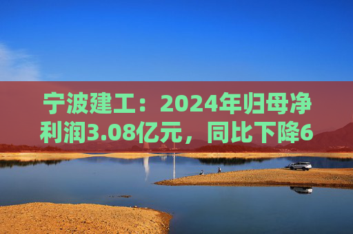 宁波建工：2024年归母净利润3.08亿元，同比下降6.39%  第1张