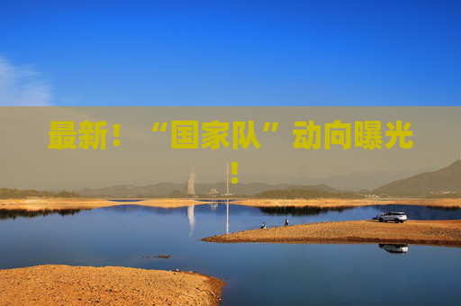 最新!“国家队”动向曝光!