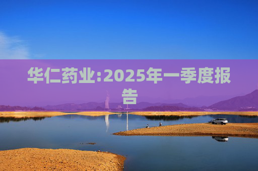 华仁药业:2025年一季度报告
