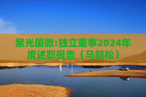紫光国微:独立董事2024年度述职报告（马朝松）