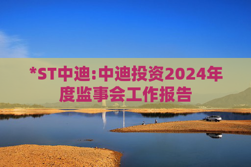 *ST中迪:中迪投资2024年度监事会工作报告