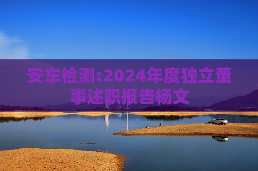 安车检测:2024年度独立董事述职报告杨文  第1张