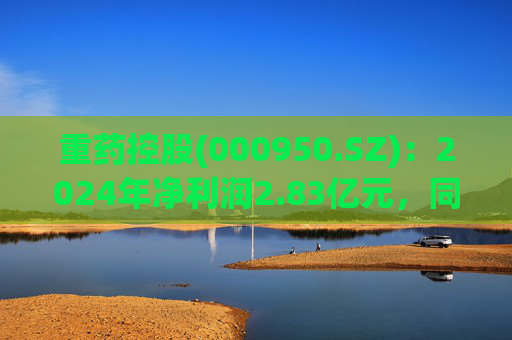 重药控股(000950.SZ):2024年净利润2.83亿元,同比下降54.69% 第1张 重药控股(000950.SZ):2024年净利润2.83亿元,同比下降54.69% 第1张