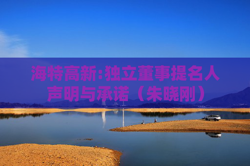 海特高新:独立董事提名人声明与承诺（朱晓刚）