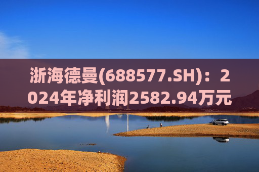 浙海德曼(688577.SH)：2024年净利润2582.94万元，同比下降12.27%