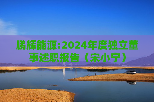 鹏辉能源:2024年度独立董事述职报告（宋小宁）