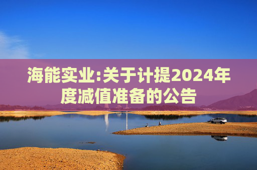 海能实业:关于计提2024年度减值准备的公告