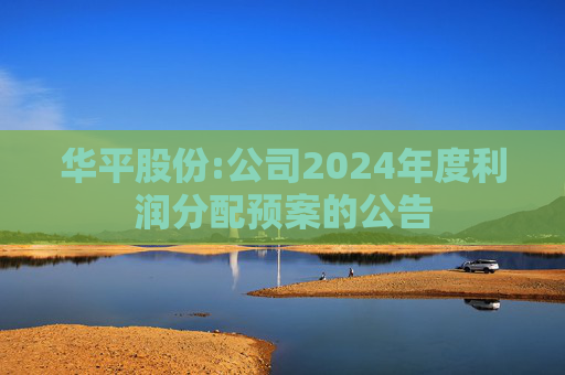 华平股份:公司2024年度利润分配预案的公告