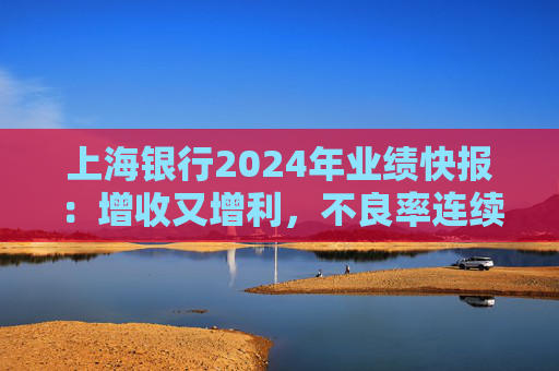 上海银行2024年业绩快报:增收又增利,不良率连续2年下降