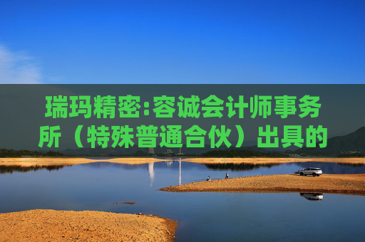 瑞玛精密:容诚会计师事务所(特殊普通合伙)出具的《2024年度营业收入扣除情况的专项审核报告》