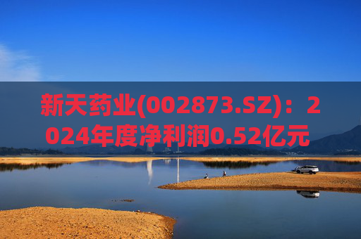 新天药业(002873.SZ):2024年度净利润0.52亿元 拟10派0.6元