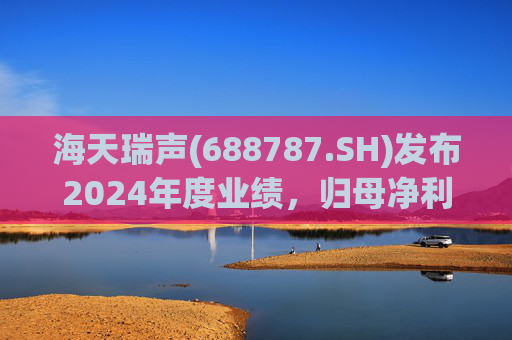 海天瑞声(688787.SH)发布2024年度业绩，归母净利润1134万元，同比扭亏为盈