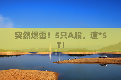 突然爆雷!5只A股,遭*ST!