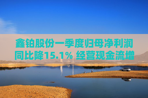 鑫铂股份一季度归母净利润同比降15.1% 经营现金流增635.1% 第1张 鑫铂股份一季度归母净利润同比降15.1% 经营现金流增635.1% 第1张