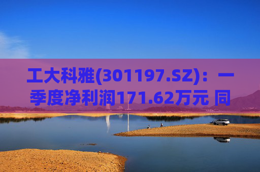 工大科雅(301197.SZ)：一季度净利润171.62万元 同比增长31.48%  第1张
