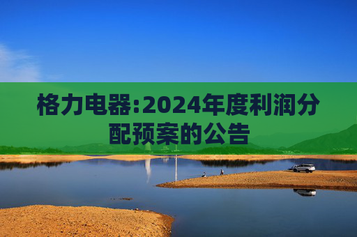 格力电器:2024年度利润分配预案的公告