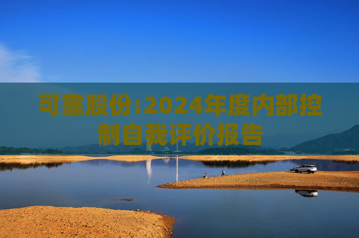 可靠股份:2024年度内部控制自我评价报告