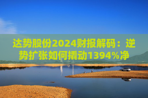 达势股份2024财报解码:逆势扩张如何撬动1394%净利跃升?