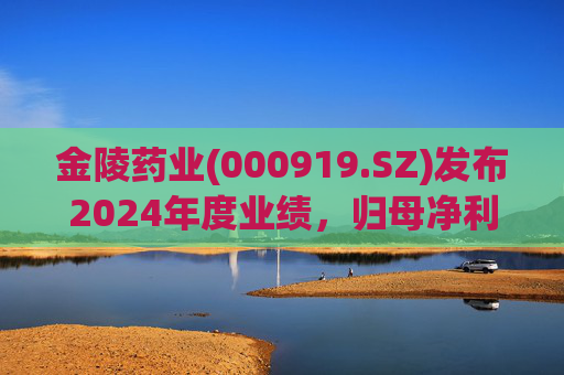 金陵药业(000919.SZ)发布2024年度业绩，归母净利润4040.98万元，下降61.95%