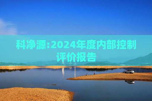 科净源:2024年度内部控制评价报告