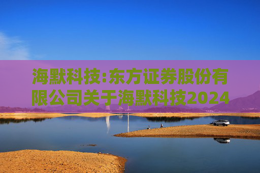 海默科技:东方证券股份有限公司关于海默科技2024年年度持续督导跟踪报告