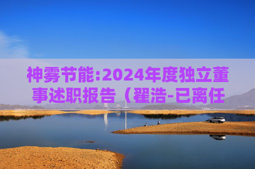 神雾节能:2024年度独立董事述职报告（翟浩-已离任）  第1张