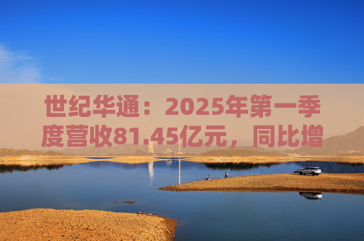 世纪华通:2025年第一季度营收81.45亿元,同比增长91.12%