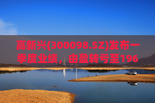 高新兴(300098.SZ)发布一季度业绩，由盈转亏至196.63万元