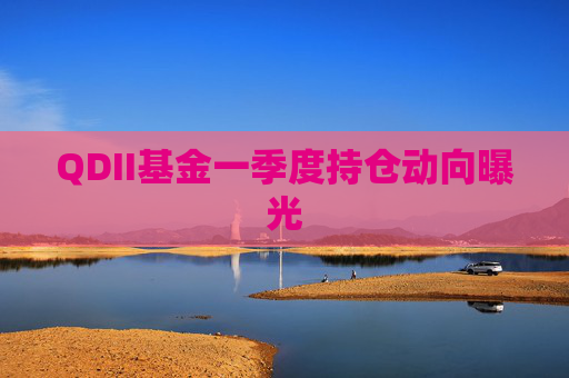 QDII基金一季度持仓动向曝光