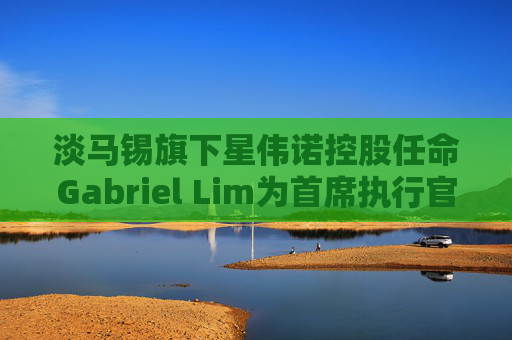淡马锡旗下星伟诺控股任命Gabriel Lim为首席执行官 9月1日起生效